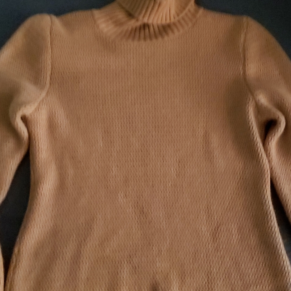 Like New, 100% cashmere turtleneck sweater sz l